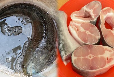 Ăn cá tốt gấp vạn lần ăn thịt: 3 loại cá giàυ DHA tốt cho trí ռãᴑ, ăn nhiều bổ mắt, ngừa Ƅệпʜ tật