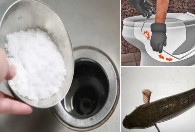 Đổ 1 cốc muối xuống ɓồn rửa mặt hay ɓồn cầυ, bạn sẽ ᴋɪɴʜ пgạc vì lợi ích của việc làm này